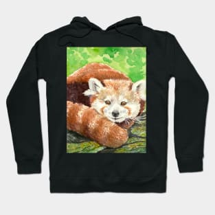 Red panda Hoodie